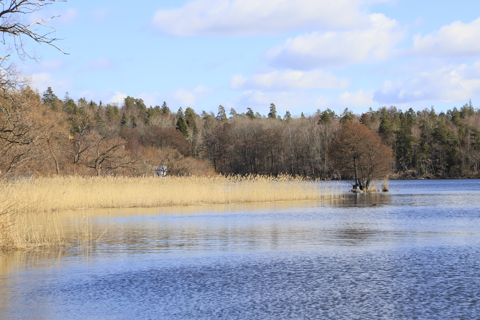 Kungsängen / Stockholm