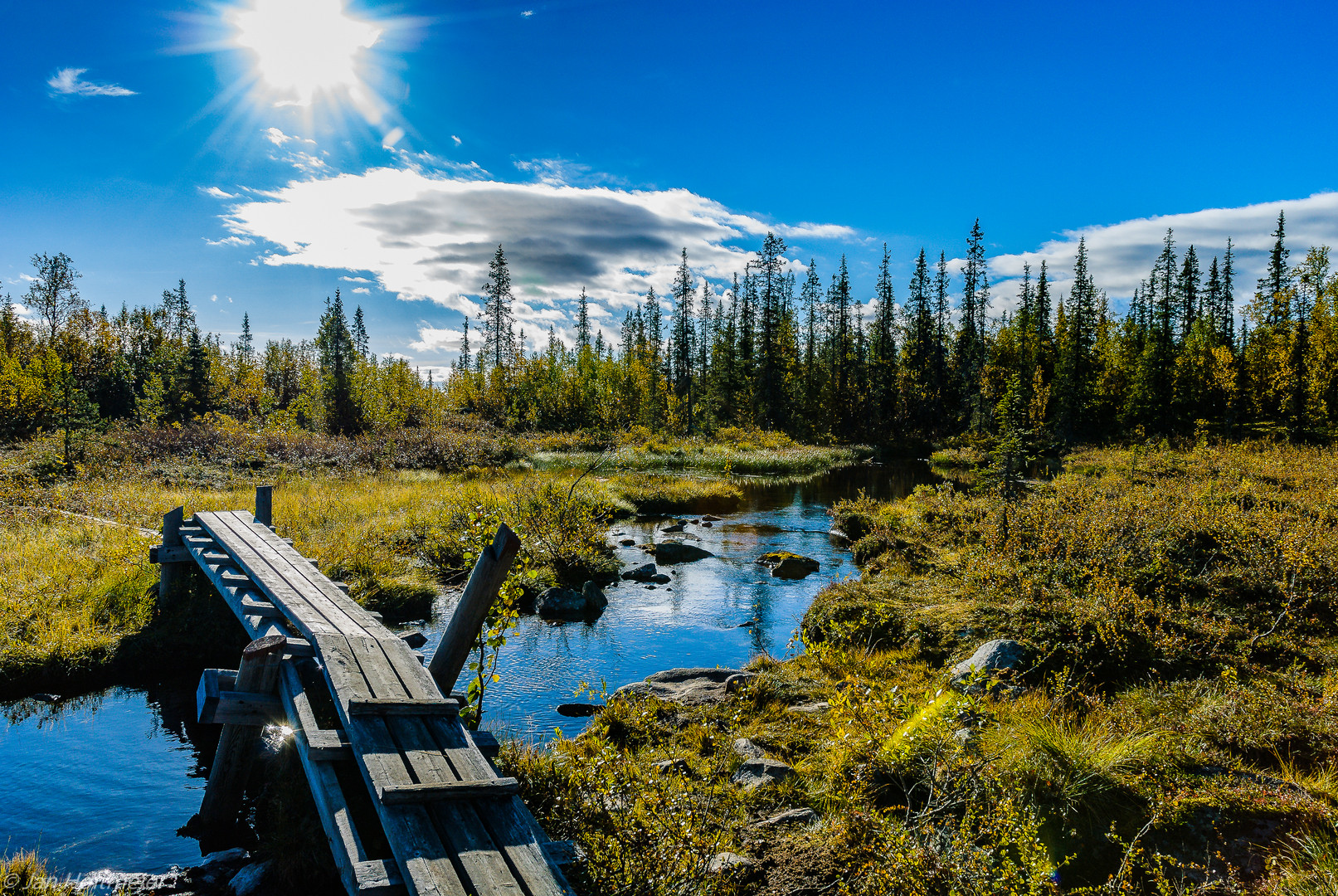 Kungsleden