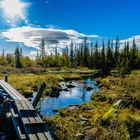 Kungsleden