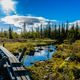 Kungsleden 2013