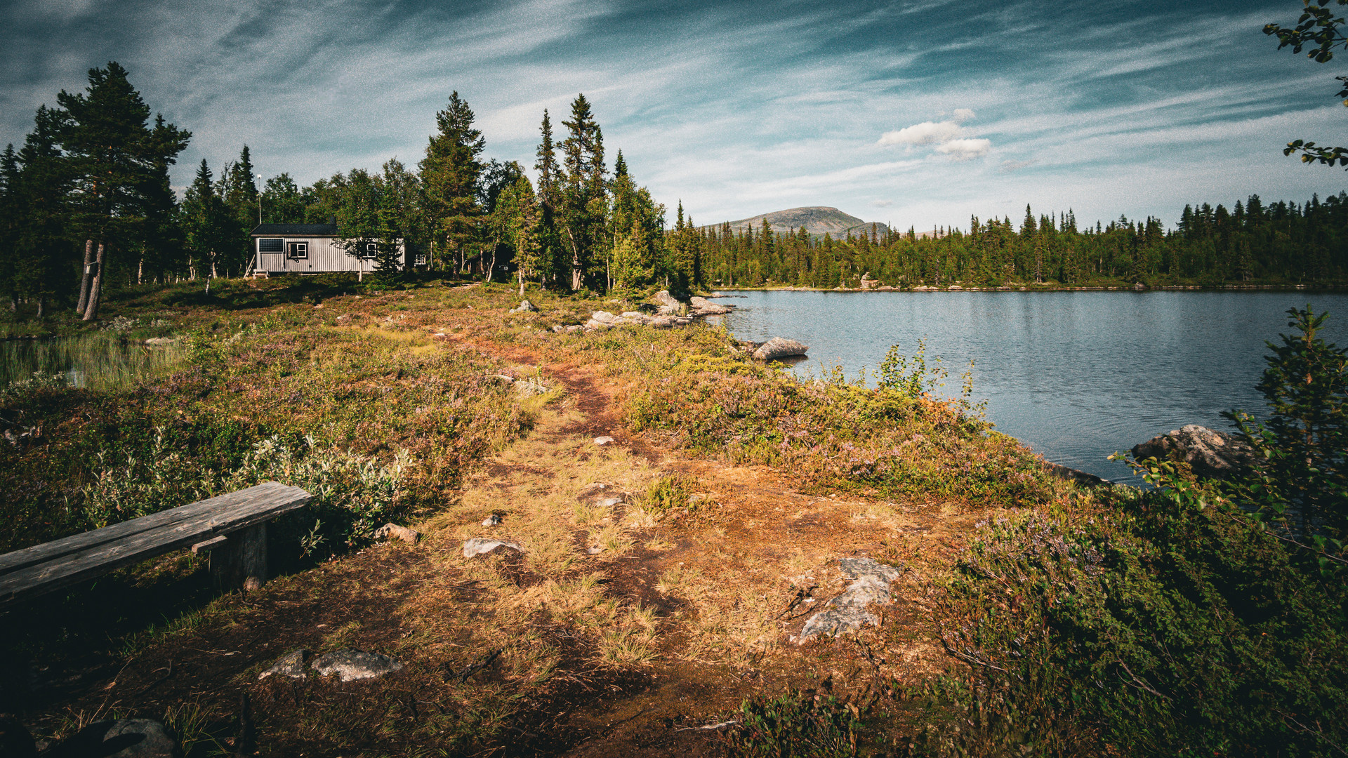 Kungsleden