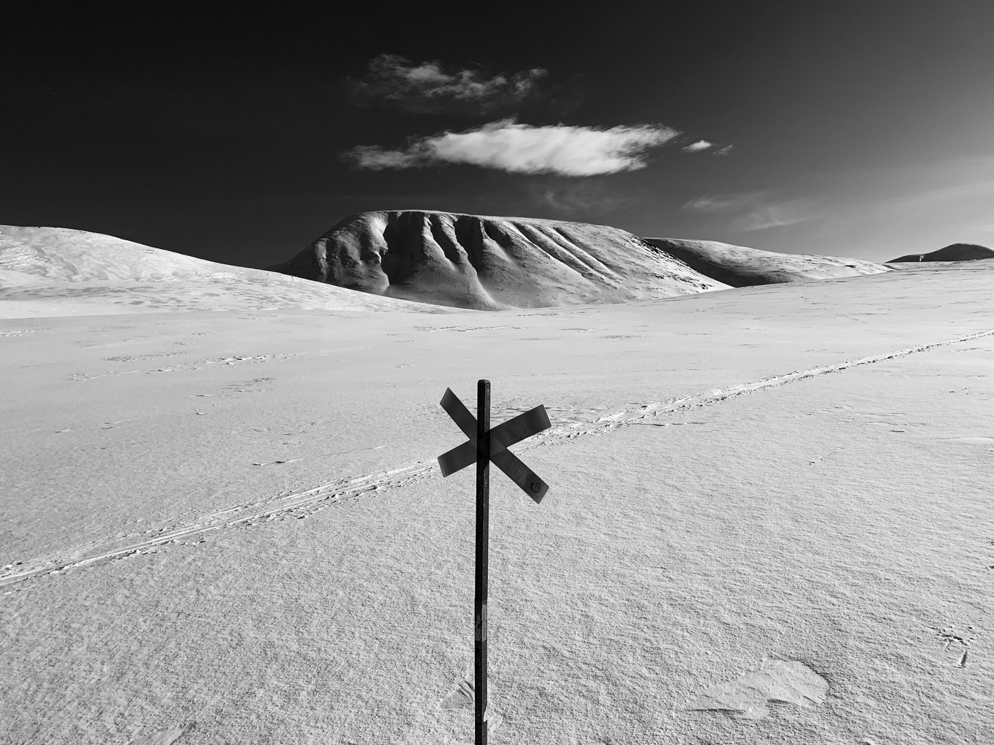 Kungsleden im Winter