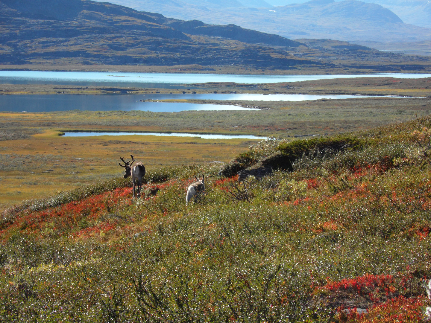 Kungsleden in Schweden