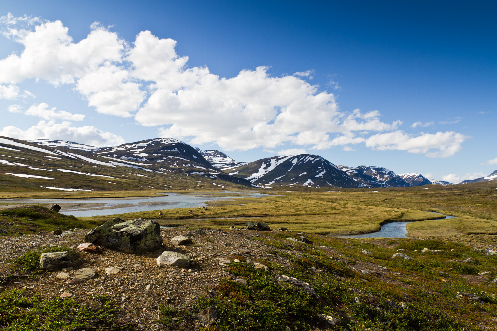 Kungsleden nahe der Singi-Hütte