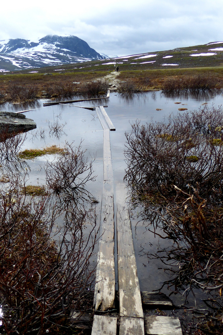 Kungsleden unter Wasser