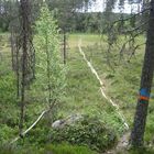 Kungslegen Wanderweg an der Grenze zu Norwegen