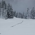 Kunkelspass im Winterkleid