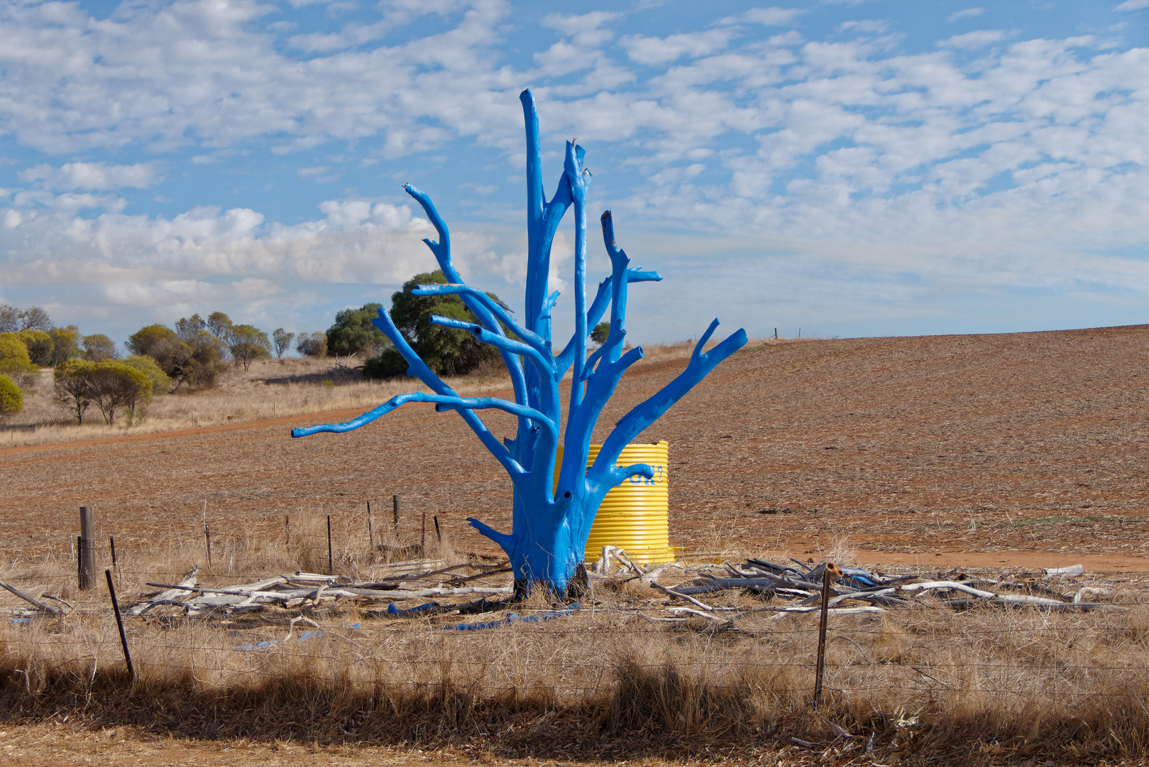 Kunst am Baum