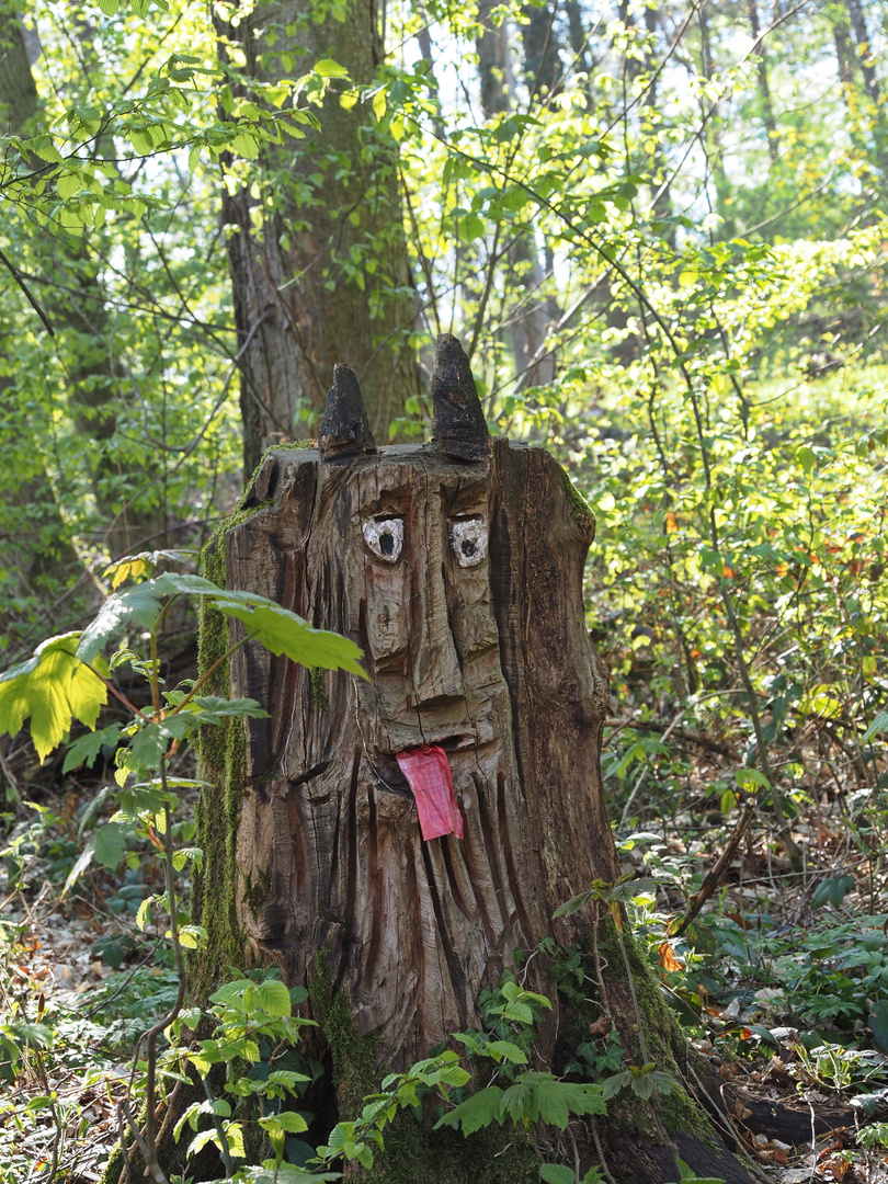 Kunst am Baum