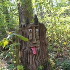 Kunst am Baum