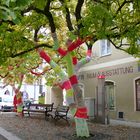 kunst am baum in wasserburg am inn