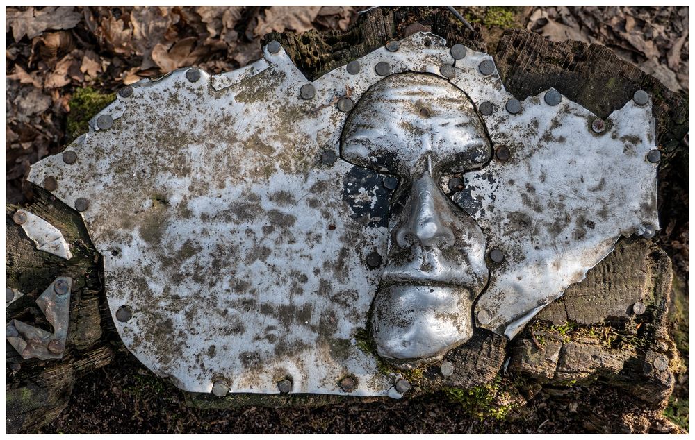 Kunst am Baumstumpf