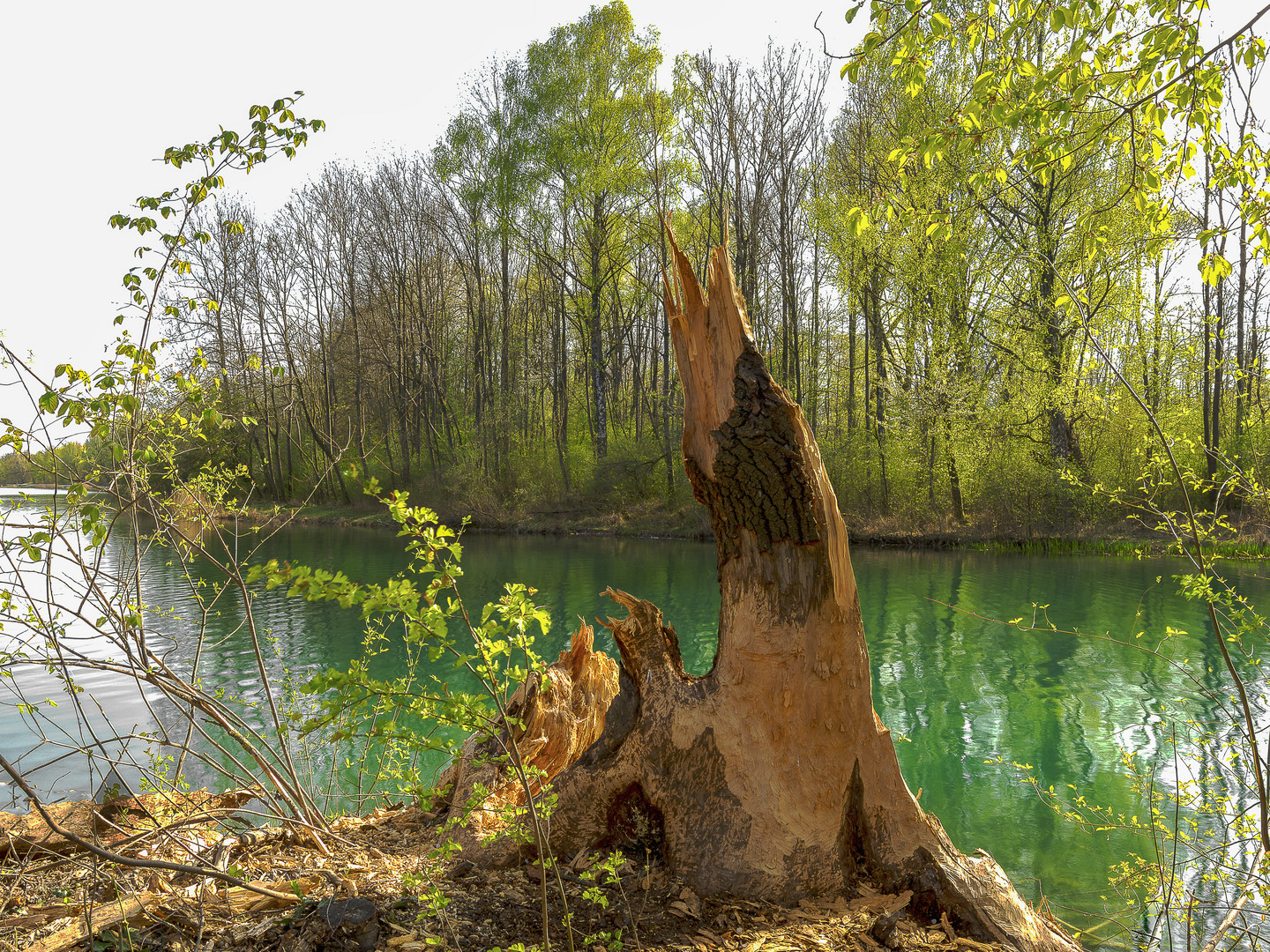 "Kunst" am Kuhsee