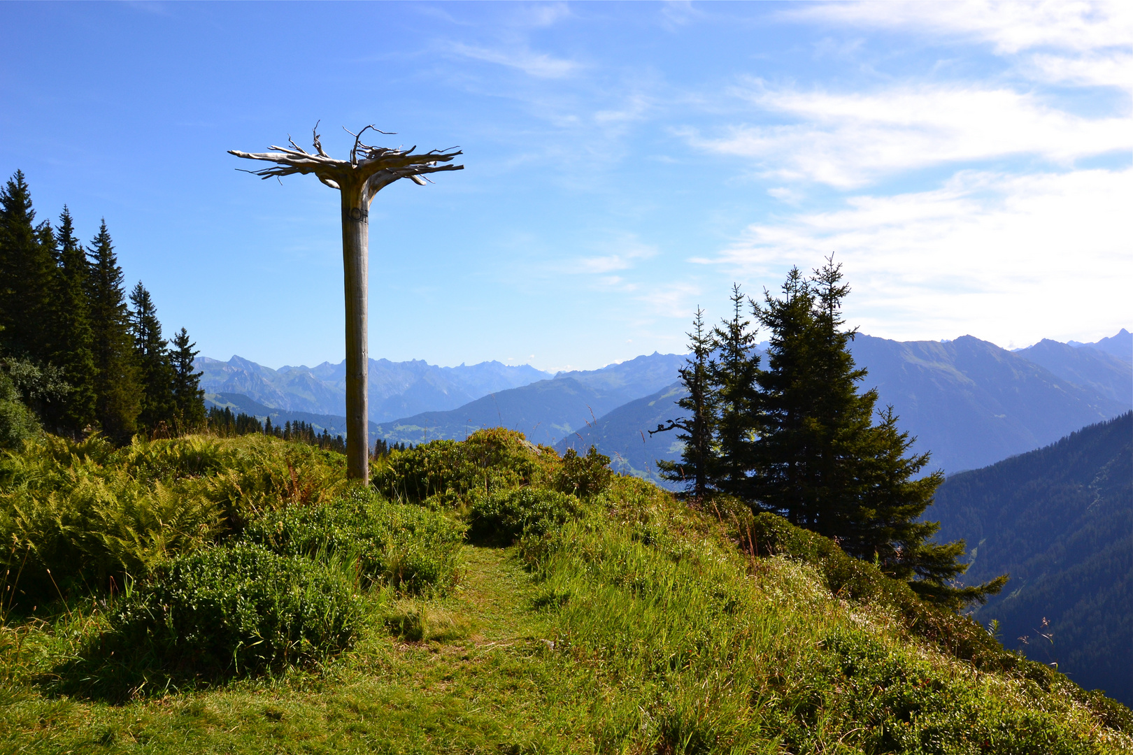 Kunst am Latschätzer Höhenweg