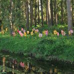 Kunst am Schwarzbach: Bachblüten?