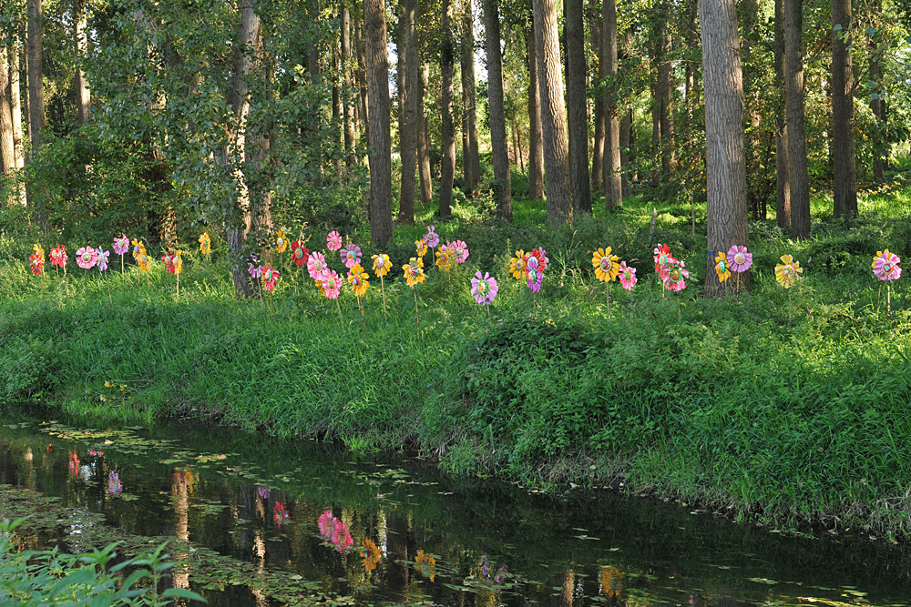 Kunst am Schwarzbach: Bachblüten?