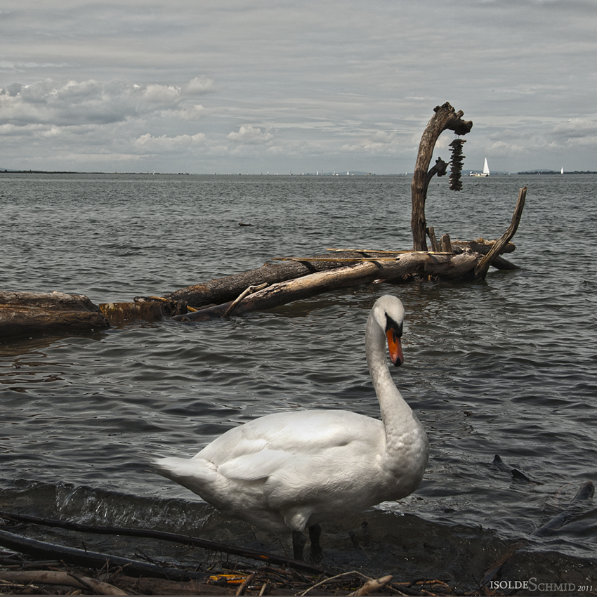 Kunst am See