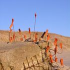 Kunst am Strand (2.Versuch)