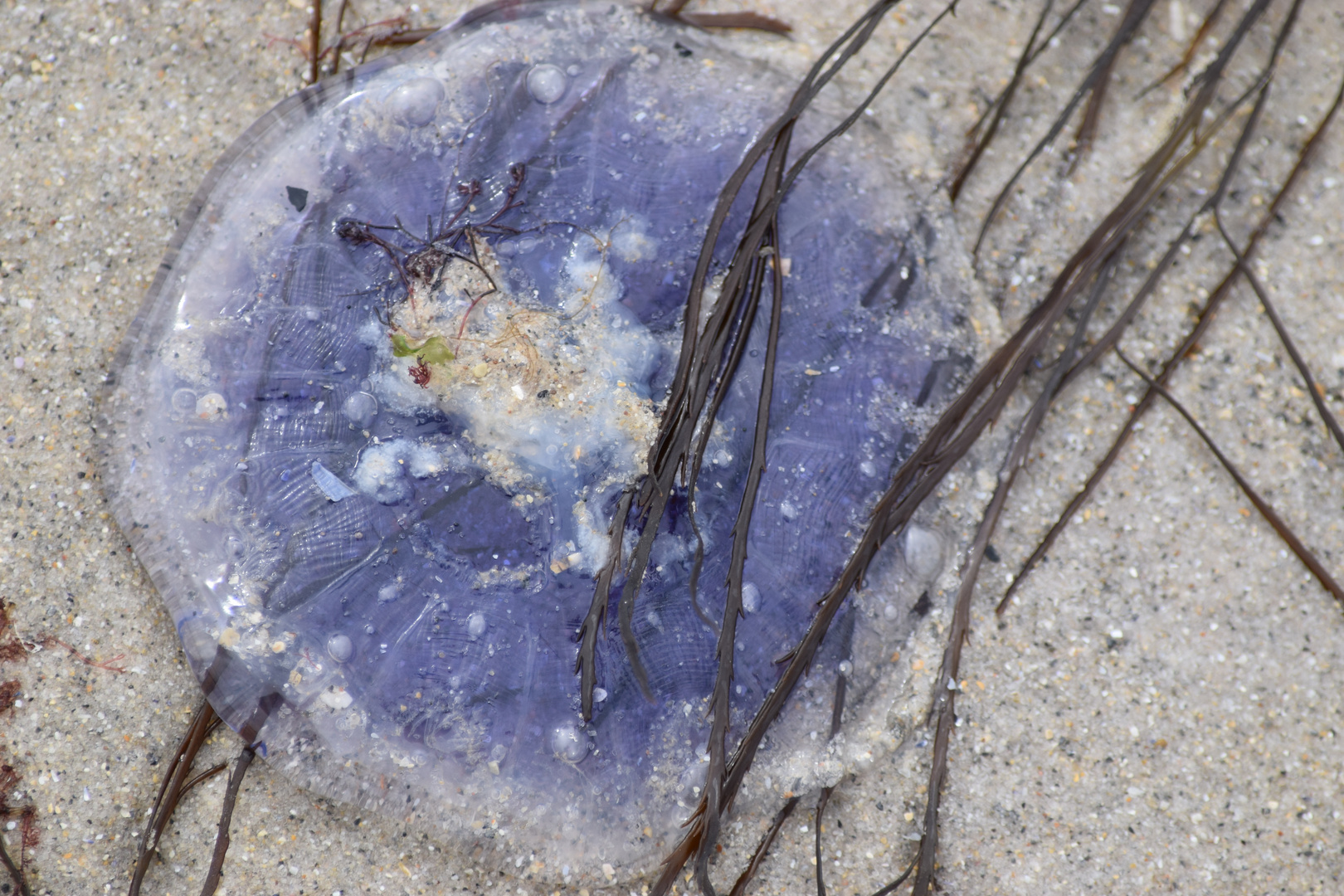 Kunst am Strand