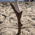 Kunst am Strand