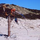 kunst am strand