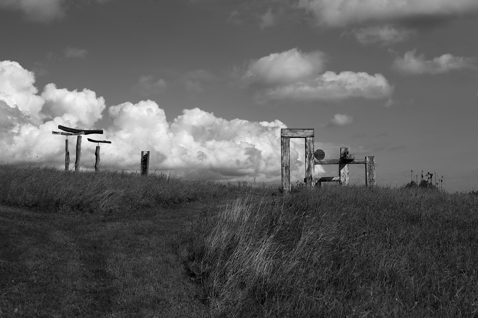 Kunst auf der Wiese