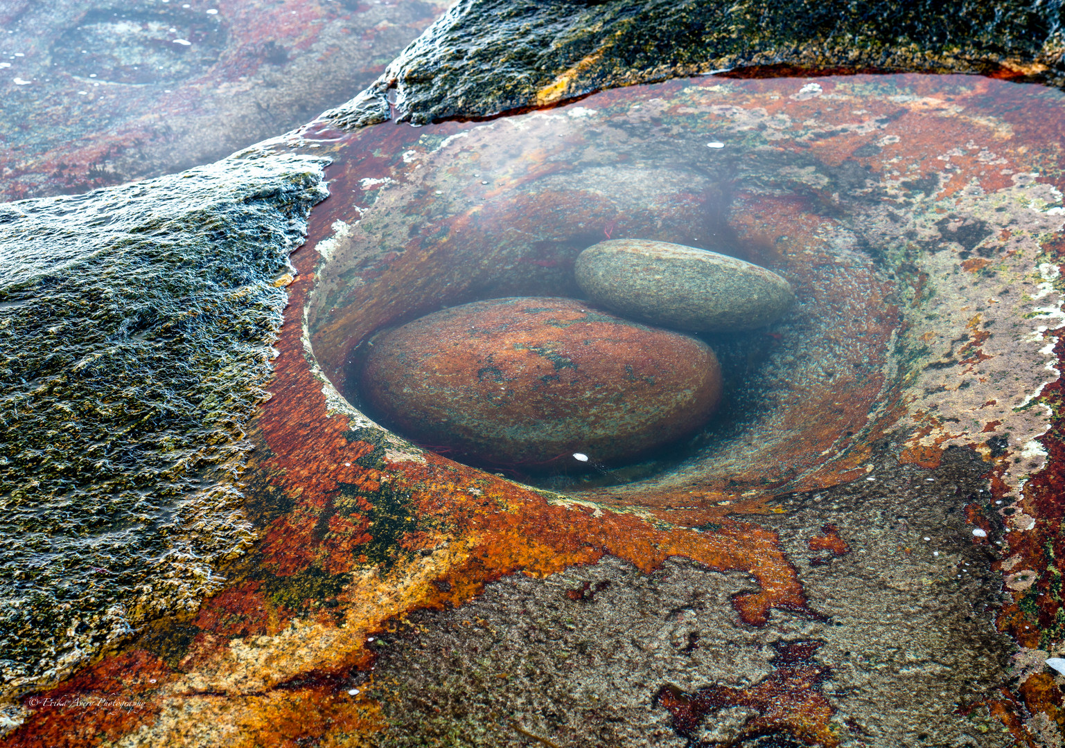 Kunst der Natur - das Drachenauge