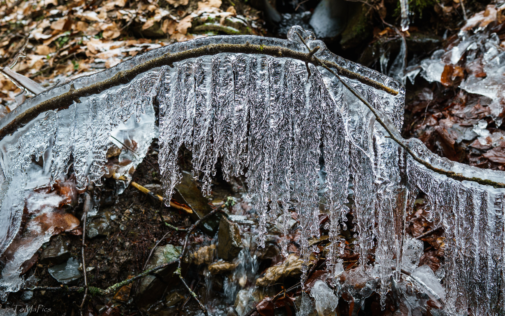 Kunst der Natur...die etwas anderen Eiszapfen