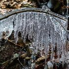 Kunst der Natur...die etwas anderen Eiszapfen