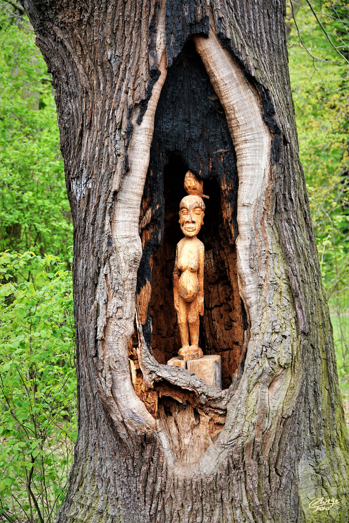 Kunst im Baum 1