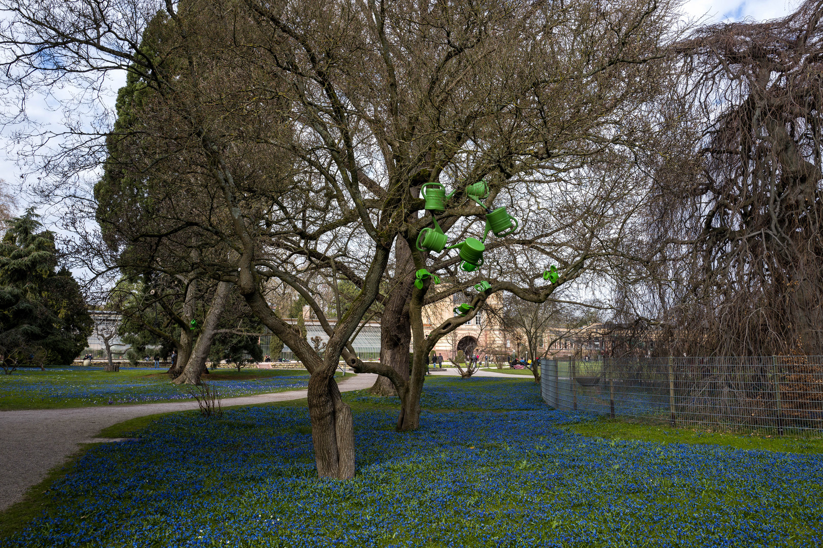 Kunst im Baum.