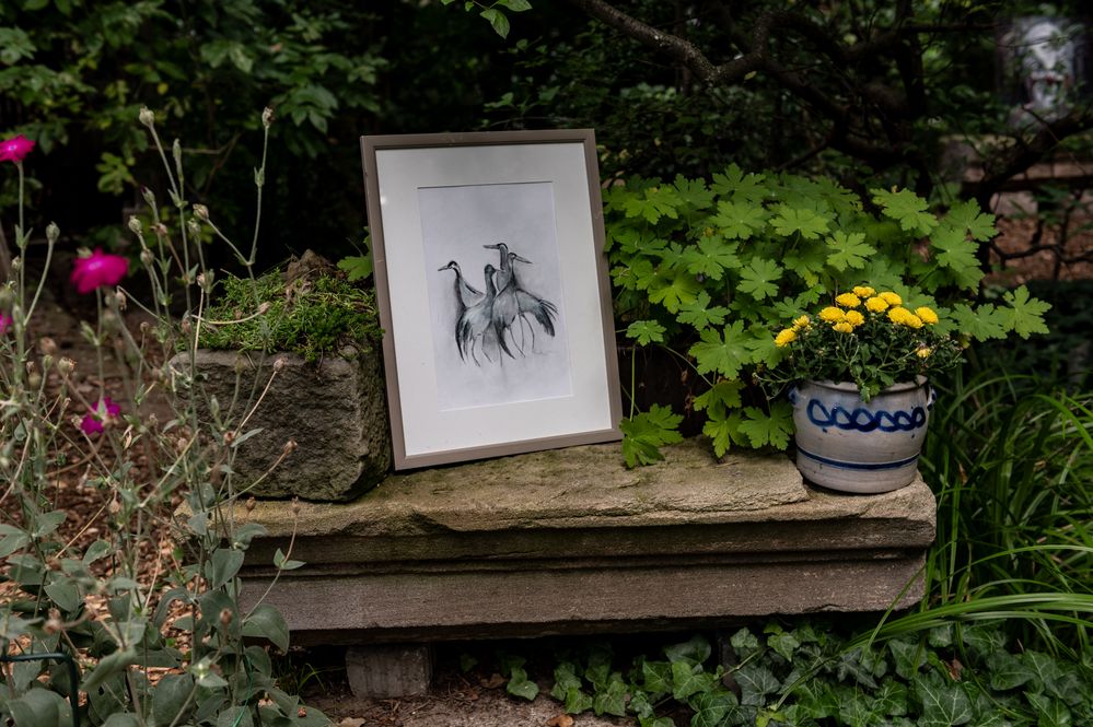 Kunst im Garten der Träume Foto & Bild fotos, dokumentation, natur