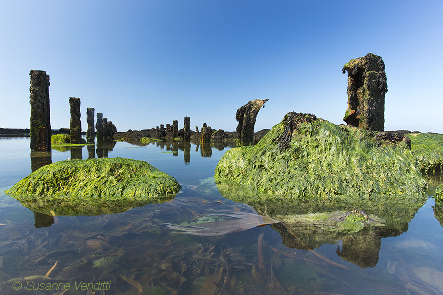 Kunst im Meer