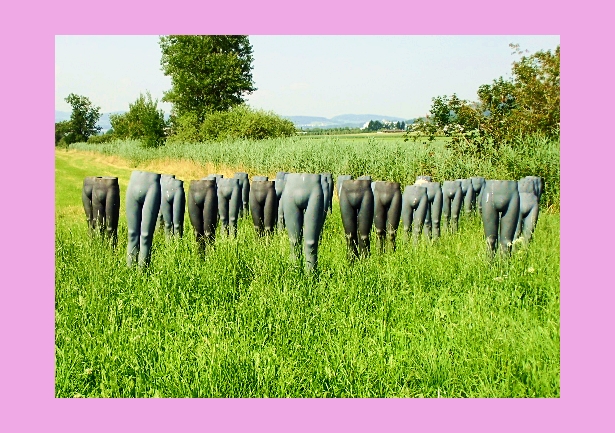 Kunst im Riet