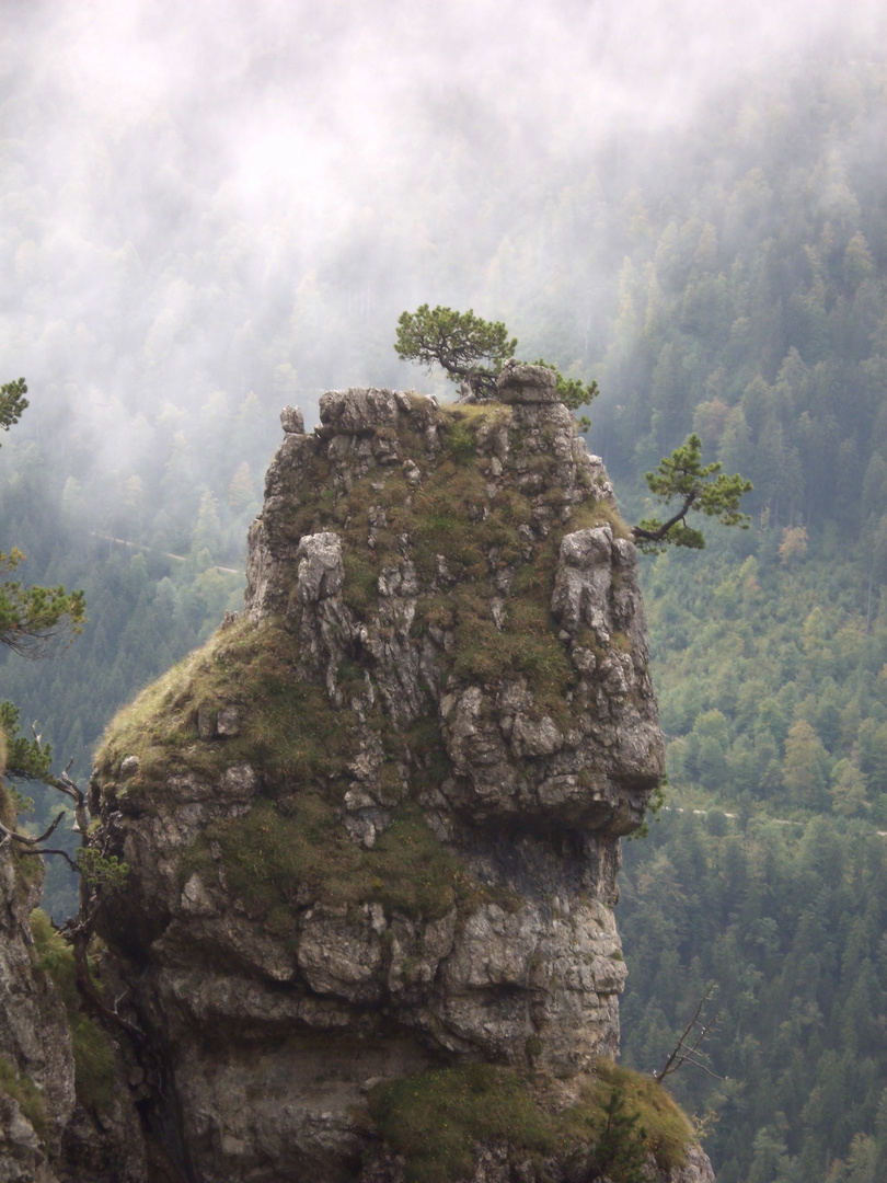 kunst im stein