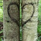 Kunst im Wald (1)