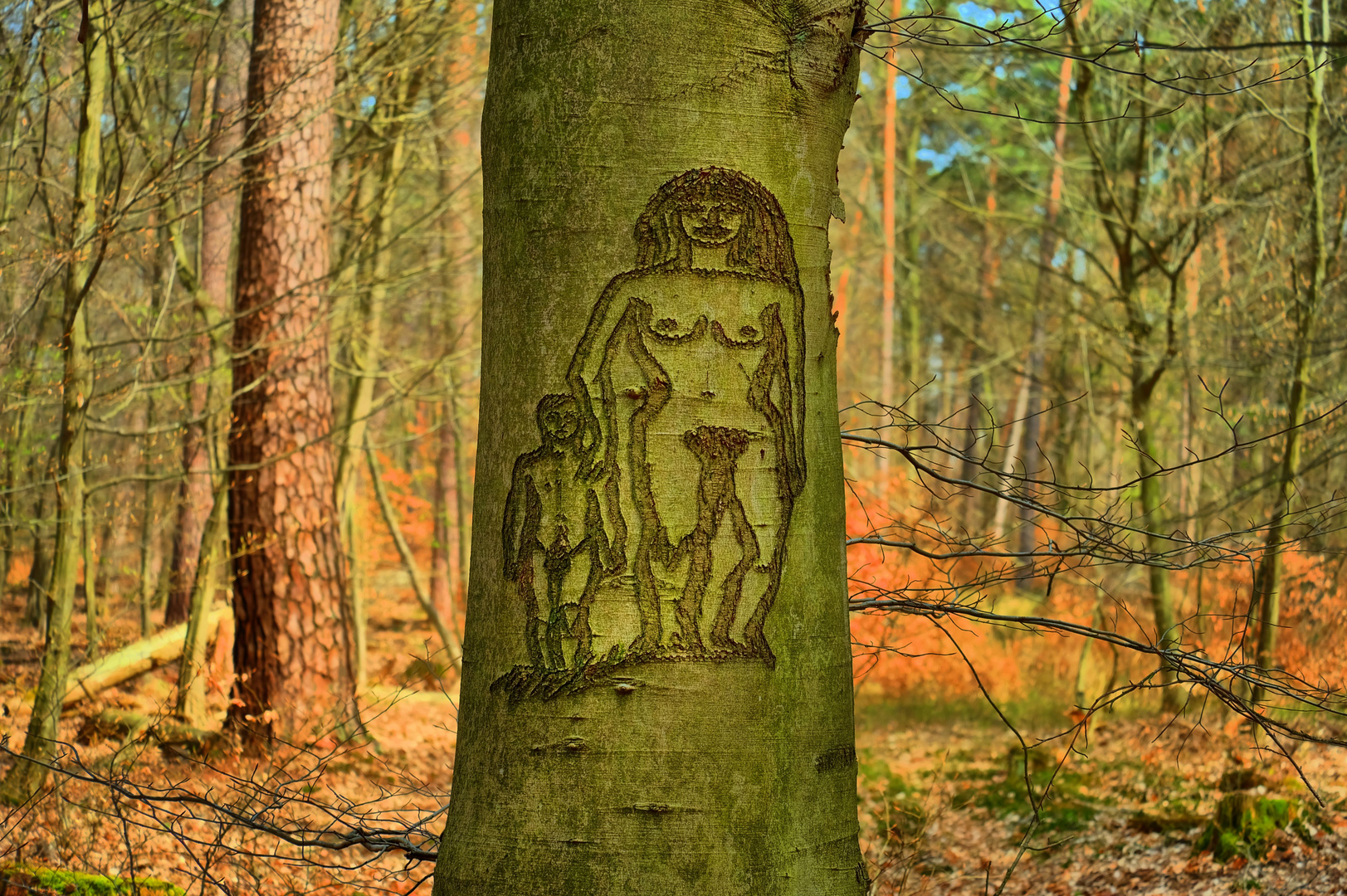 Kunst im Wald