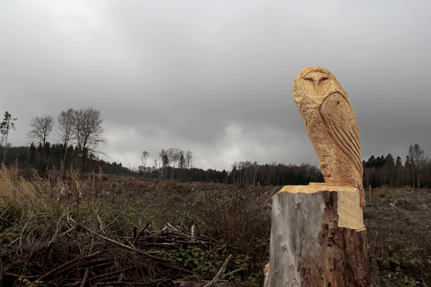 Kunst im Wald