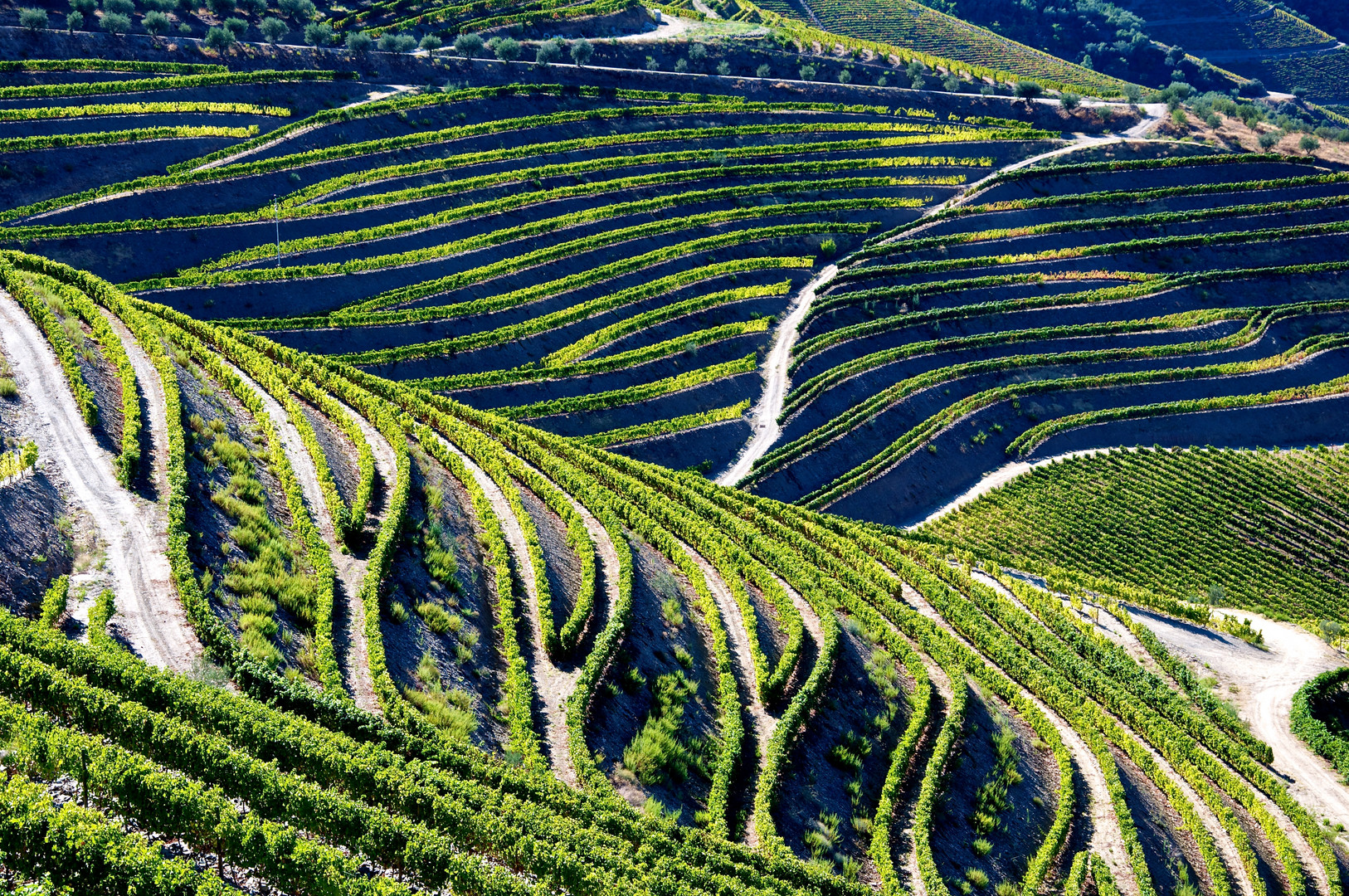 Kunst im Weinberg