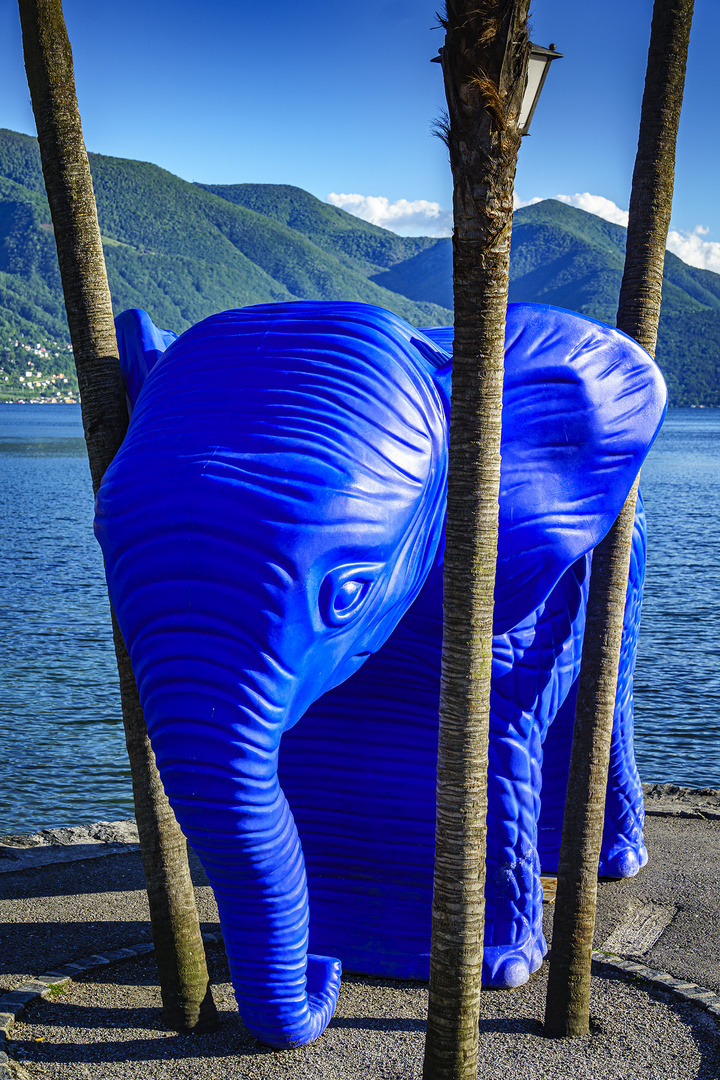 Kunst in Ascona am Lago Maggiore