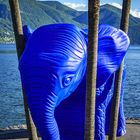 Kunst in Ascona am Lago Maggiore