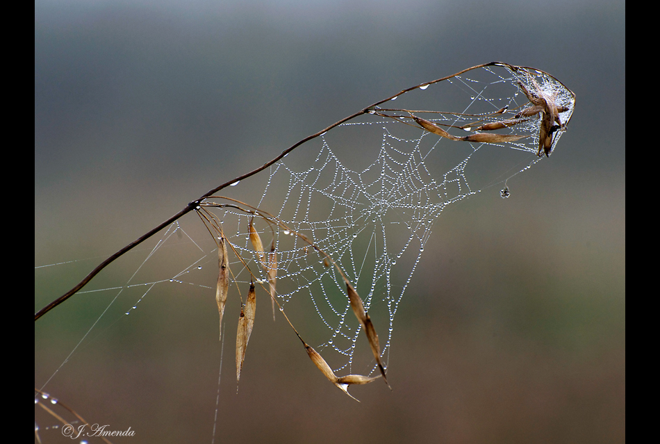 Kunst in der Natur