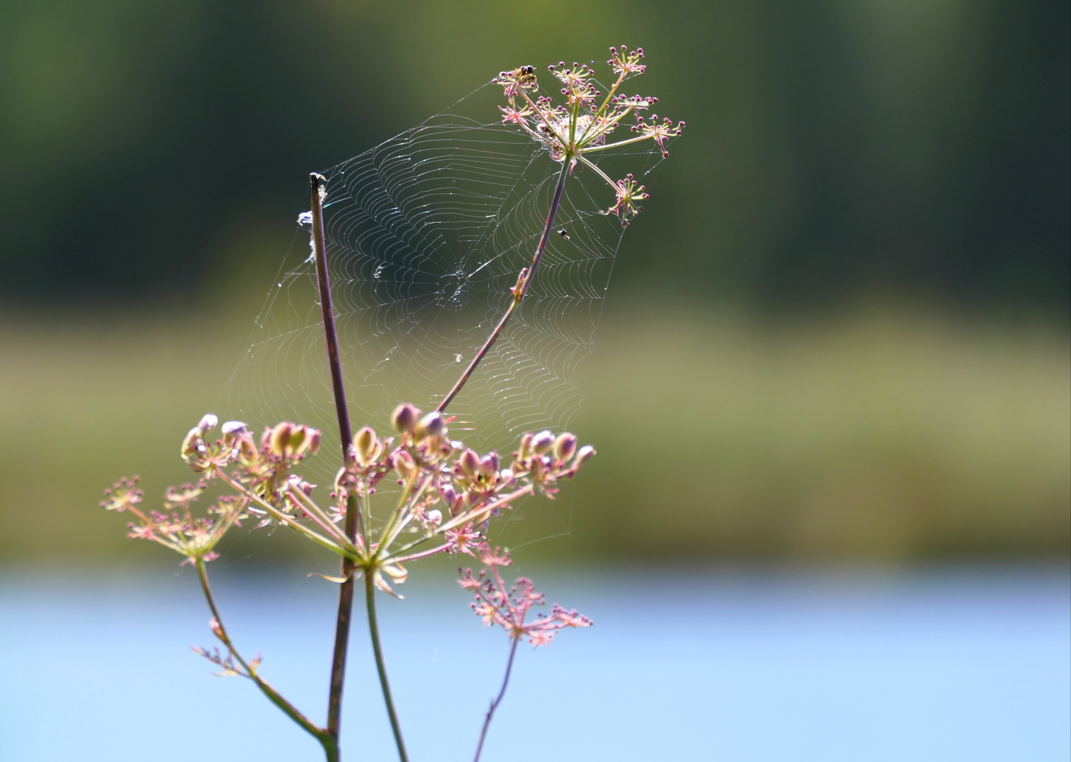 Kunst in der Natur 