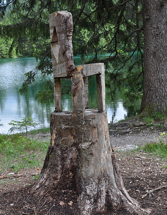 Kunst mit der Kettensäge.....