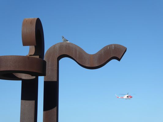 Kunst, Natur und Heli....