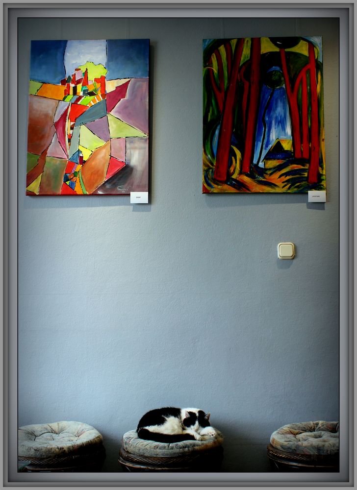 Kunst und Katze