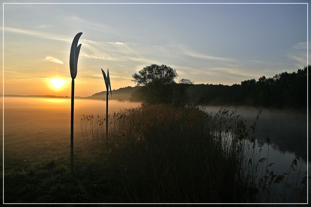 Kunst und Natur