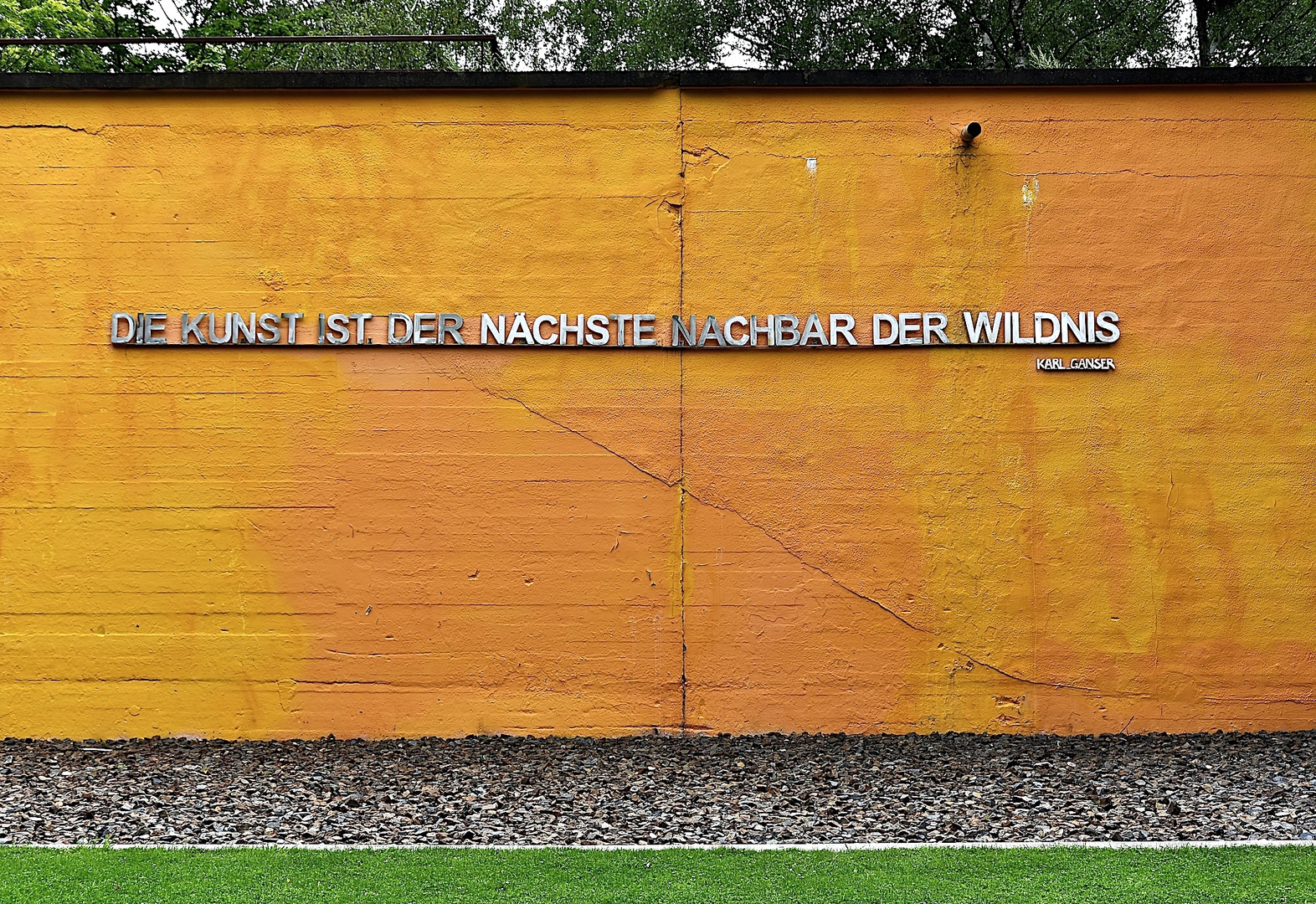 Kunst und Wildnis