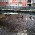 Kunst unter der Rurbrücke in Monschau.