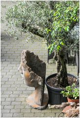 Kunst unterm Baum
